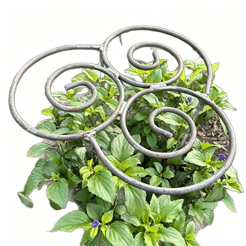 📢📢LAST DAY SALE 50% OFF🌱Heavy-Duty Flower Support Frame